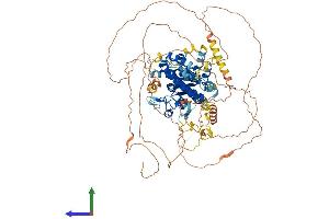 Protein Structure (PS) image for KAT8 Regulatory NSL Complex Subunit 3 (KANSL3) (AA 1-904) protein (His tag) (ABIN7554318)