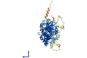 Protein Structure (PS) image for Phospholipase A2, Group IVA (Cytosolic, Calcium-Dependent) (PLA2G4A) (AA 1-749) protein (His tag) (ABIN7550545)