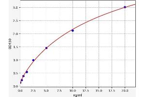 Typical standard curve (RUNX2 ELISA 试剂盒)