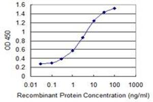Detection limit for recombinant GST tagged IARS is 0. (IARS 抗体  (AA 1172-1262))