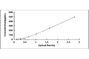 Typical standard curve (BDNF ELISA 试剂盒)