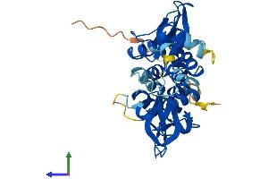 AlphaFold protein structure predicition of Mouse Recombinant Prkag1 Protein, UniprotID O54950