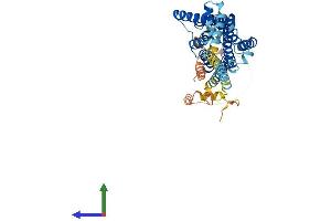 AlphaFold protein structure predicition of Mouse Recombinant Htr7 Protein, UniprotID P32304 (HTR7 Protein (AA 1-448) (His tag))