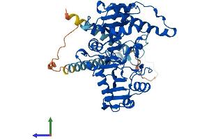 Protein Structure (PS) image for Mannosyl (Alpha-1,3-)-Glycoprotein beta-1,2-N-Acetylglucosaminyltransferase (MGAT1) (AA 1-447) protein (His tag) (ABIN7563033)