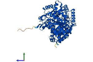 Protein Structure (PS) image for Carnitine O-Octanoyltransferase (CROT) (AA 1-612) protein (His tag) (ABIN7550341)
