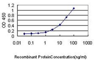 Detection limit for recombinant GST tagged VPS25 is approximately 0. (VPS25 抗体  (AA 1-176))