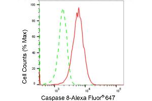 Flow cytometric analysis of Caspase 8 beta expression in HeLa cells using Caspase 8 beta antibody (ABIN7797907), 1:2,000). (Recombinant Caspase 8 抗体)
