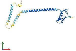 AlphaFold protein structure predicition of Human Recombinant RPAIN Protein, UniprotID Q86UA6