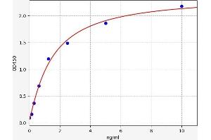 Typical standard curve (HRAS ELISA 试剂盒)