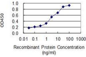 Detection limit for recombinant GST tagged USP11 is 0. (USP11 抗体  (AA 201-300))