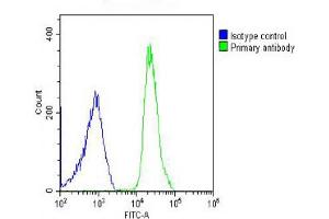 Overlay histogram showing U-2OS cells stained with (ABIN6243678 and ABIN6578556) (green line). (GPR175 抗体  (AA 16-47))