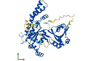 Protein Structure (PS) image for Obg-Like ATPase 1 (OLA1) (AA 1-396) protein (His tag) (ABIN7550158)