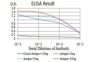 Black line: Control Antigen (100 ng),Purple line: Antigen (10 ng), Blue line: Antigen (50 ng), Red line:Antigen (100 ng) (YWHAB 抗体  (AA 1-246))