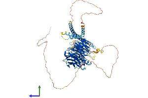 Protein Structure (PS) image for Ring Finger and WD Repeat Domain 2, E3 Ubiquitin Protein Ligase (RFWD2) (AA 1-733) protein (His tag) (ABIN7565184)