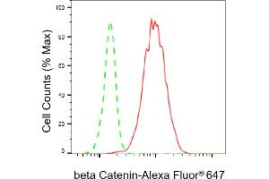 Flow cytometric analysis of beta Catenin expression in C2C12 cells using beta Catenin antibody (ABIN7797936), 1:2,000). (Recombinant beta Catenin 抗体)