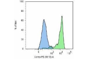 Flow cytometry analysis (surface staining) of GCPII / PSMA using anti-GCPII (GCP-05) and goat anti-mouse-PE on LNCaP cell line (positive, green) and HeLa cells (negative, blue). (PSMA 抗体  (AA 44-750))