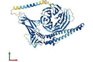 Protein Structure (PS) image for Bardet-Biedl Syndrome 2 (BBS2) (AA 1-721) protein (His tag) (ABIN7564952)