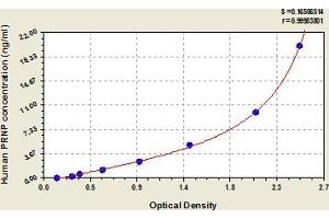 Prion Protein (PRNP) ELISA Kit