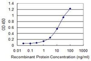 Detection limit for recombinant GST tagged MOBP is 0. (MOBP 抗体  (AA 1-81))