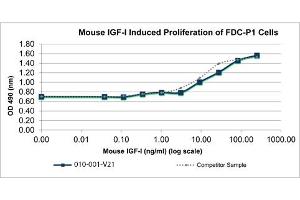 SDS-PAGE of Mouse Insulin-like Growth Factor I Recombinant Protein Bioactivity of Mouse Insulin-like Growth Factor I Recombinant Protein. (IGF1 蛋白)