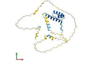 Protein Structure (PS) image for Empty Spiracles Homeobox 1 (EMX1) (AA 1-257) protein (His tag) (ABIN7556884)