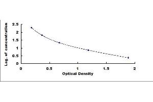 ELISA image for Calreticulin (CALR) ELISA Kit (ABIN4947430)