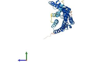 AlphaFold protein structure predicition of Human Recombinant OR8A1 Protein, UniprotID Q8NGG7 (OR8A1 Protein (AA 1-326) (His tag))