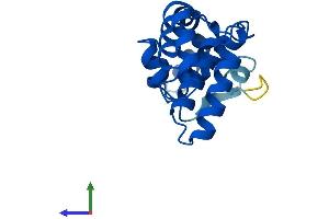 AlphaFold protein structure predicition of Human Recombinant RGS13 Protein, UniprotID O14921