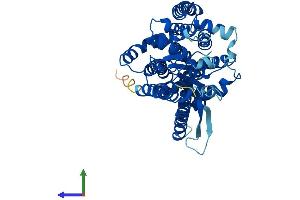 Protein Structure (PS) image for Asparagine-Linked Glycosylation 12, alpha-1,6-Mannosyltransferase Homolog (ALG12) (AA 1-486) protein (His tag) (ABIN7559853)
