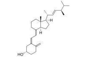 Image no. 3 for Vitamin D2 peptide (BSA) (ABIN5666016) (Vitamin D2 peptide (BSA))