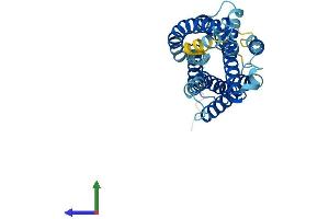 AlphaFold protein structure predicition of Human Recombinant GPR55 Protein, UniprotID Q9Y2T6