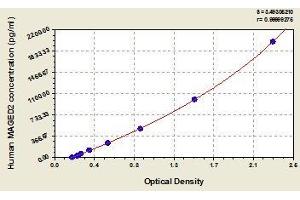 Typical standard curve (MAGED2 ELISA 试剂盒)