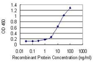 Detection limit for recombinant GST tagged HSF4 is 0. (HSF4 抗体  (AA 121-220))