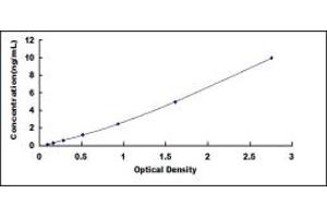 Typical standard curve (PEX2 ELISA 试剂盒)