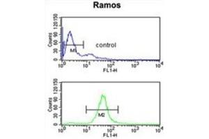 Flow Cytometry (FACS) image for anti-UDP-Gal:betaGal beta 1,3-Galactosyltransferase Polypeptide 6 (B3GALT6) antibody (ABIN3002204) (B3GALT6 抗体)