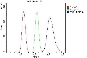 Flow Cytometry analysis of HEPA1-6 cells using anti-TBX21 antibody (ABIN7602980).