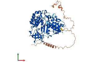 AlphaFold protein structure predicition of Mouse Recombinant Cdkal1 Protein, UniprotID Q91WE6 (CDKAL1 Protein (AA 1-578) (His tag))