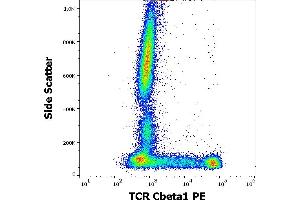 Flow cytometry surface staining pattern of human peripheral whole blood stained using anti-human TCR Cbeta1 (JOVI. (TCR, Cbeta1 抗体 (PE))