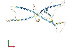 Protein Structure (PS) image for Testis-Specific serine Kinase Substrate (TSKS) (AA 1-585) protein (His tag) (ABIN7562435)