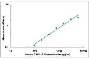 Representative Standard Curve (CXCL16 ELISA 试剂盒)