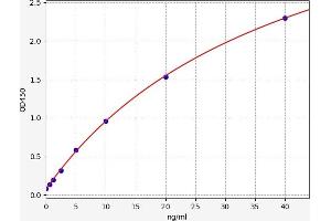 Lectin, Galactoside-Binding, Soluble, 1 (LGALS1) ELISA Kit