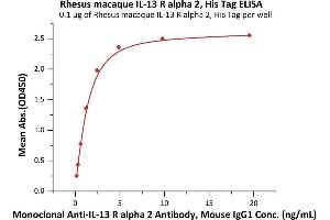 Immobilized Rhesus macaque IL-13 R alpha 2, His Tag (ABIN6973105) at 1 μg/mL (100 μL/well) can bind Monoclonal Anti-IL-13 R alpha 2 Antibody, Mouse IgG1 with a linear range of 0.