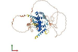 Protein Structure (PS) image for TBC1 Domain Family, Member 3B (TBC1D3B) (AA 1-549) protein (His tag) (ABIN7544237)