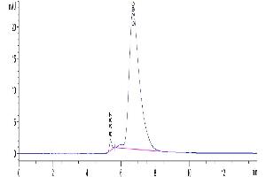 Size-exclusion chromatography-High Pressure Liquid Chromatography (SEC-HPLC) image for CD226 (CD226) (AA 19-247) protein (His-Avi Tag) (ABIN7274455)