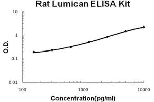 Rat Lumican PicoKine ELISA Kit standard curve (LUM ELISA 试剂盒)