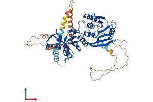 Protein Structure (PS) image for THUMP Domain Containing 2 (THUMPD2) (AA 1-503) protein (His tag) (ABIN7544407)