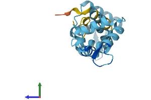 Protein Structure (PS) image for Calcium Binding Protein 5 (CABP5) (AA 1-173) protein (His tag) (ABIN7552955)