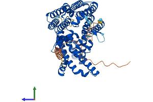 Protein Structure (PS) image for Membrane Bound O-Acyltransferase Domain Containing 2 (MBOAT2) (AA 1-520) protein (His tag) (ABIN7554542)