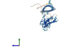 Protein Structure (PS) image for Translin-Associated Factor X Interacting Protein 1 (Tsnaxip1) (AA 1-704) protein (His tag) (ABIN7560448)