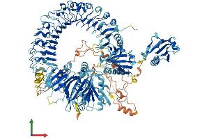 Protein Structure (PS) image for Flightless I Homolog (FLII) (AA 1-1271) protein (His tag) (ABIN7565096)